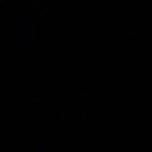 Meet your Posher, Mason